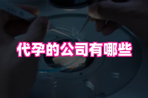 贵州助孕网站 2