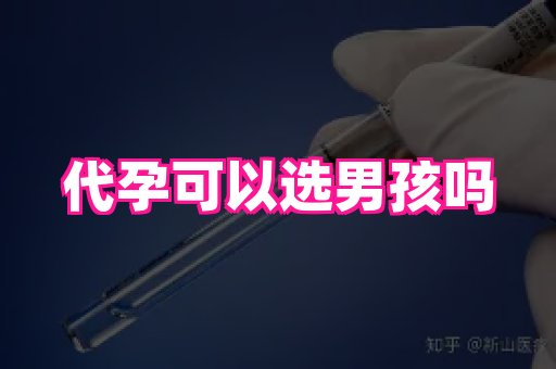 贵州助孕网站 3